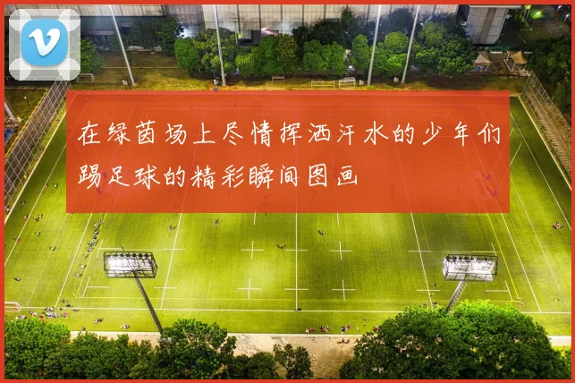 在绿茵场上尽情挥洒汗水的少年们踢足球的精彩瞬间图画
