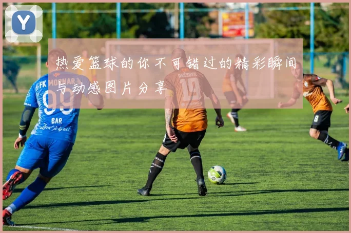 热爱篮球的你不可错过的精彩瞬间与动感图片分享
