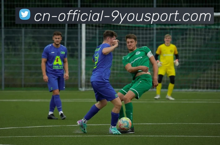 官方下载品牌故事