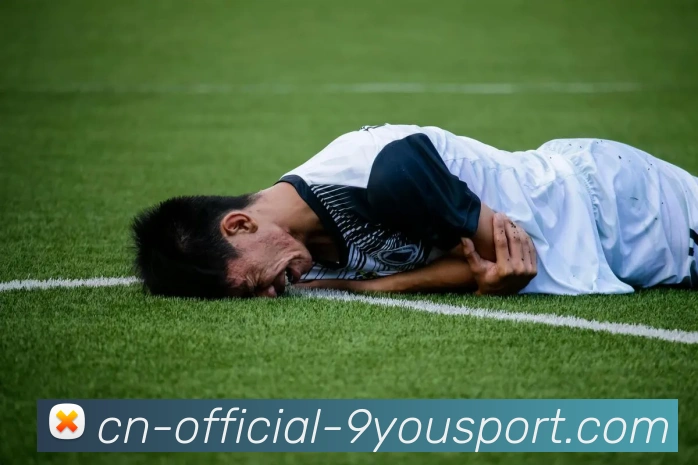 官方下载服务体系